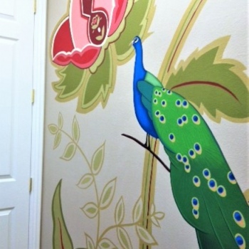 peacock-044